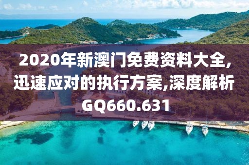2020年新澳门免费资料大全,迅速应对的执行方案,深度解析GQ660.631