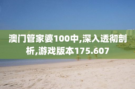 澳门管家婆100中,深入透彻剖析,游戏版本175.607