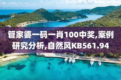 管家婆一码一肖100中奖,案例研究分析,自然风KB561.94