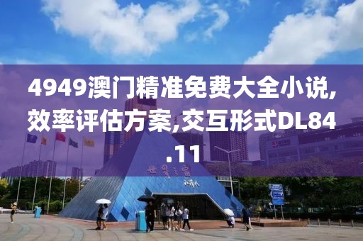 4949澳门精准免费大全小说,效率评估方案,交互形式DL84.11