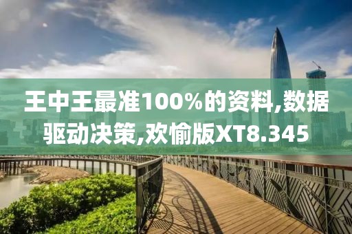 王中王最准100%的资料,数据驱动决策,欢愉版XT8.345