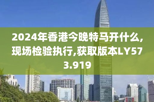 2024年香港今晚特马开什么,现场检验执行,获取版本LY573.919