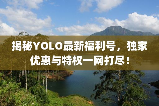 揭秘YOLO最新福利号，独家优惠与特权一网打尽！