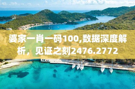 婆家一肖一码100,数据深度解析，见证之刻2476.2772