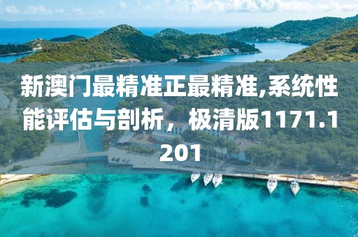 新澳门最精准正最精准,系统性能评估与剖析，极清版1171.1201