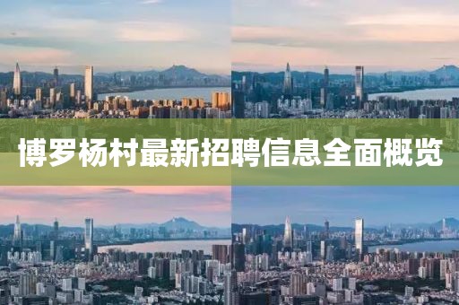购物流程 第902页