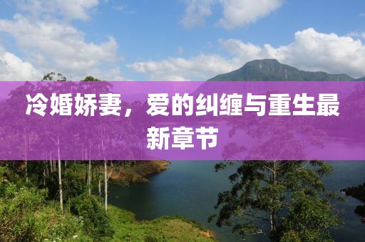 冷婚娇妻，爱的纠缠与重生最新章节