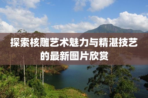 探索核雕艺术魅力与精湛技艺的最新图片欣赏