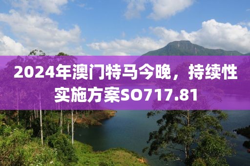 2024年澳门特马今晚，持续性实施方案SO717.81
