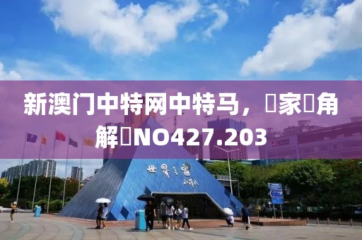 新澳门中特网中特马，專家視角解讀NO427.203