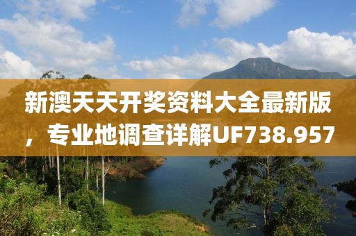 新澳天天开奖资料大全最新版，专业地调查详解UF738.957