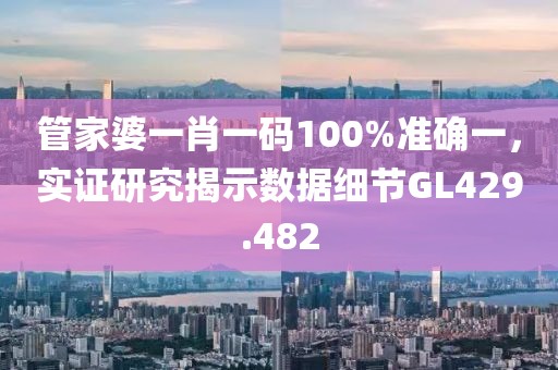 管家婆一肖一码100%准确一，实证研究揭示数据细节GL429.482