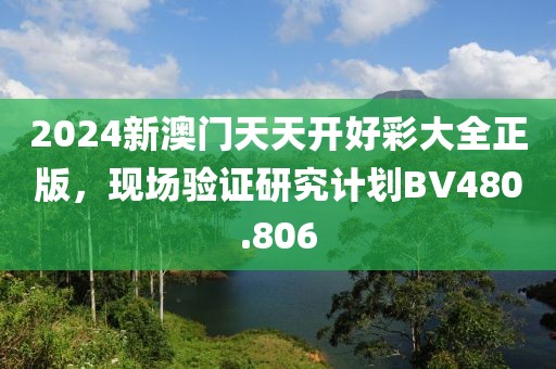 2024新澳门天天开好彩大全正版，现场验证研究计划BV480.806