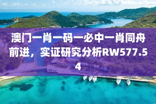 澳门一肖一码一必中一肖同舟前进，实证研究分析RW577.54