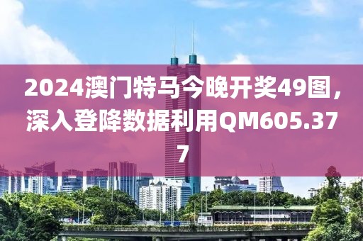 2024澳门特马今晚开奖49图，深入登降数据利用QM605.377