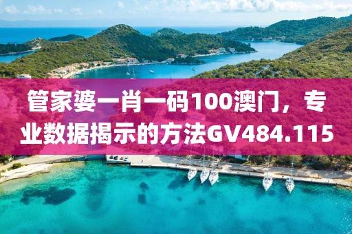 管家婆一肖一码100澳门，专业数据揭示的方法GV484.115