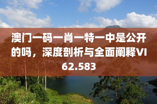 澳门一码一肖一特一中是公开的吗，深度剖析与全面阐释VI62.583