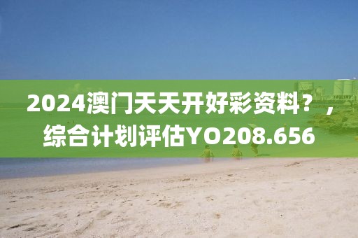 2024澳门天天开好彩资料？，综合计划评估YO208.656