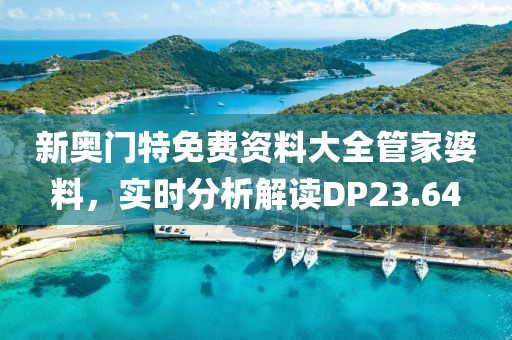 新奥门特免费资料大全管家婆料，实时分析解读DP23.64