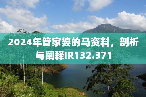 2024年管家婆的马资料，剖析与阐释IR132.371