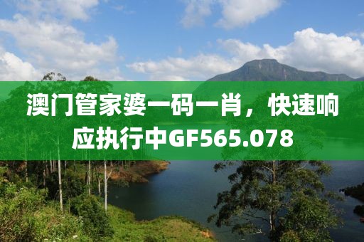 澳门管家婆一码一肖，快速响应执行中GF565.078