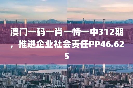 澳门一码一肖一恃一中312期，推进企业社会责任PP46.625
