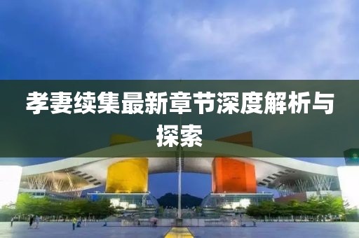孝妻续集最新章节深度解析与探索