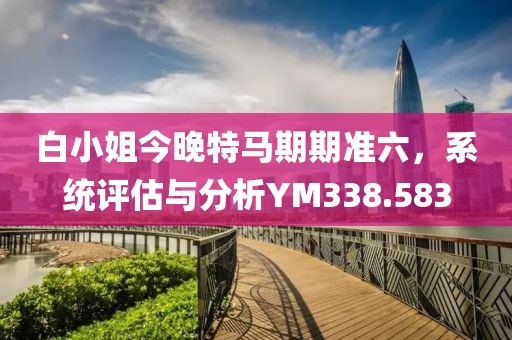 白小姐今晚特马期期准六，系统评估与分析YM338.583