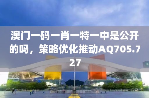 澳门一码一肖一特一中是公开的吗，策略优化推动AQ705.727