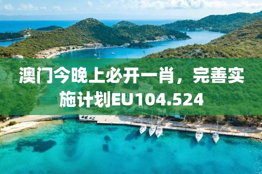 澳门今晚上必开一肖，完善实施计划EU104.524