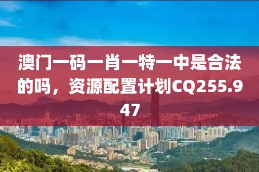 澳门一码一肖一特一中是合法的吗，资源配置计划CQ255.947