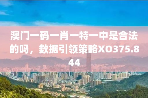 澳门一码一肖一特一中是合法的吗，数据引领策略XO375.844