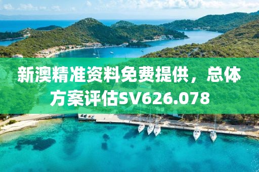 新澳精准资料免费提供，总体方案评估SV626.078