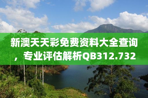 新澳天天彩免费资料大全查询，专业评估解析QB312.732