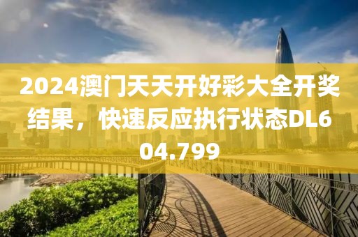 2024澳门天天开好彩大全开奖结果，快速反应执行状态DL604.799