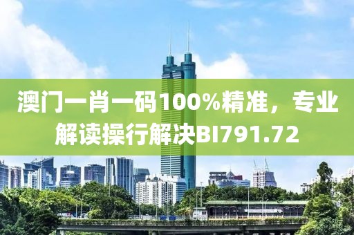 澳门一肖一码100%精准，专业解读操行解决BI791.72