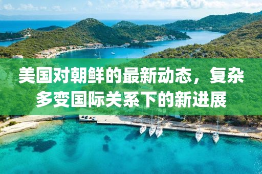 美国对朝鲜的最新动态，复杂多变国际关系下的新进展