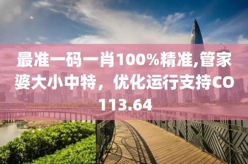 最准一码一肖100%精准,管家婆大小中特，优化运行支持CO113.64