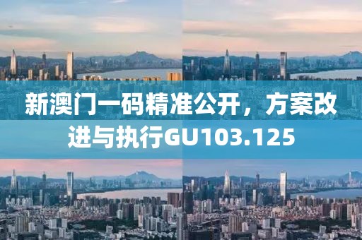 新澳门一码精准公开，方案改进与执行GU103.125