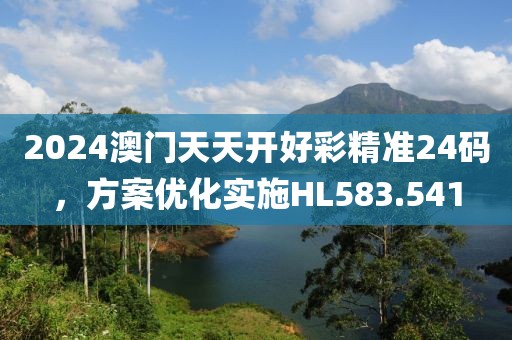 2024澳门天天开好彩精准24码，方案优化实施HL583.541