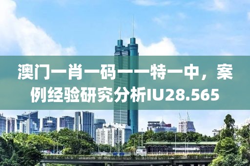 澳门一肖一码一一特一中，案例经验研究分析IU28.565