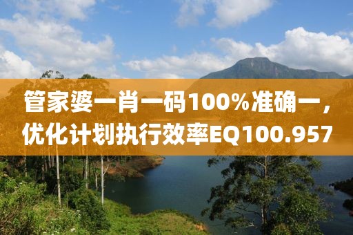 管家婆一肖一码100%准确一，优化计划执行效率EQ100.957