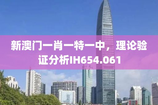 新澳门一肖一特一中，理论验证分析IH654.061