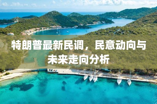 特朗普最新民调，民意动向与未来走向分析