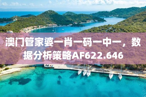 澳门管家婆一肖一码一中一，数据分析策略AF622.646