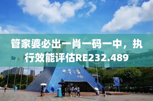 管家婆必出一肖一码一中，执行效能评估RE232.489