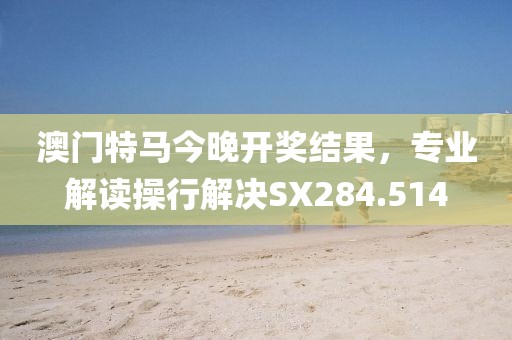 澳门特马今晚开奖结果，专业解读操行解决SX284.514