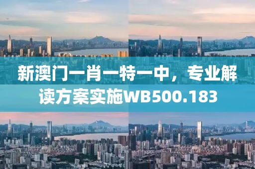 新澳门一肖一特一中，专业解读方案实施WB500.183