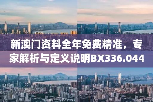 新澳门资料全年免费精准，专家解析与定义说明BX336.044