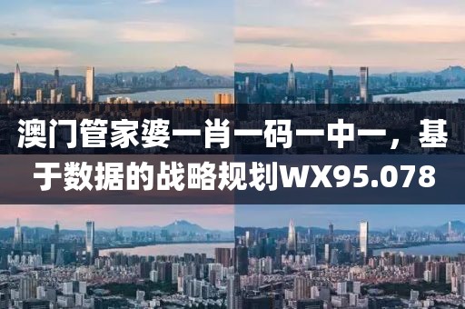 澳门管家婆一肖一码一中一，基于数据的战略规划WX95.078
